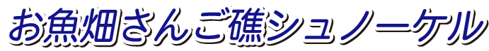 お魚畑さんご礁シュノーケル